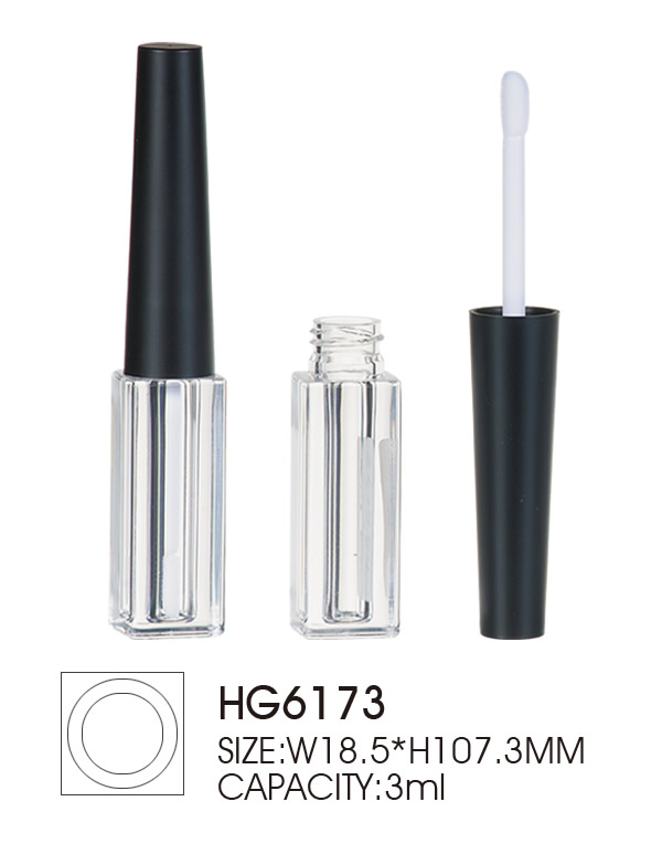 HG6173